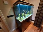 Aquatlantis aquarium > 400 ltr. incl externe filterpomp., Ophalen, Gebruikt, Gevuld zoetwateraquarium