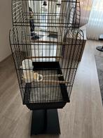 Zeer nette kooi, Dieren en Toebehoren, Ophalen of Verzenden, Zo goed als nieuw, Metaal, Vogelkooi