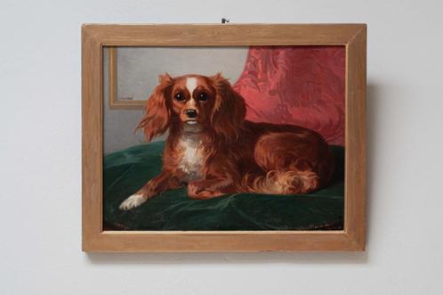 Antiek schilderij van een hond, King Charles Spaniel portret, Antiek en Kunst, Kunst | Schilderijen | Klassiek, Ophalen of Verzenden
