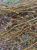 Gratis wilgentenen op te halen in park Schellerdriehoek, Tuin en Terras, Ophalen of Verzenden, Gebruikt