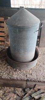 Zinken kippen voerton, Dieren en Toebehoren, Pluimvee, Vrouwelijk, Kip