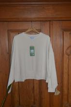 Nieuwe sweater maat L, Ophalen, Leontien, Beige, Maat 42/44 (L)