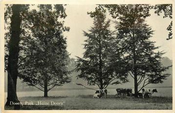 (388-349-013) Doorn Park Huize Doorn beschikbaar voor biedingen