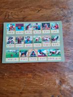 Puzzel  aap noot mies, Ophalen of Verzenden, 10 tot 50 stukjes