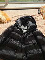 Burberry jas Maat M/L, Kleding | Heren, Ophalen of Verzenden, Zo goed als nieuw