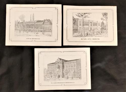 14 litho 's Amsterdam Lith Drukkerij  Steijffardt circa 1950, Antiek en Kunst, Kunst | Litho's en Zeefdrukken, Ophalen of Verzenden