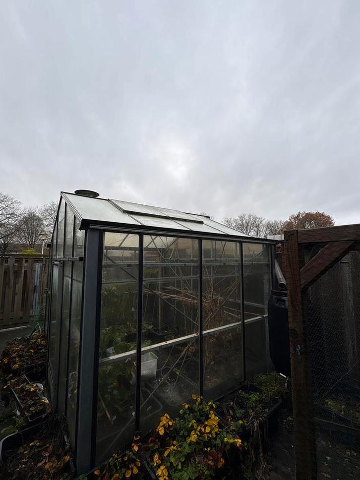 Professionele stormvaste kas, Tuin en Terras, Kassen, Gebruikt, Kweekkas, Aluminium, Glas, Ophalen