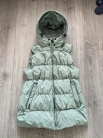airforce eucalyptus groene puffer bomber bodywarmer jas mt S, Airforce, Ophalen of Verzenden, Zo goed als nieuw, Maat 36 (S)