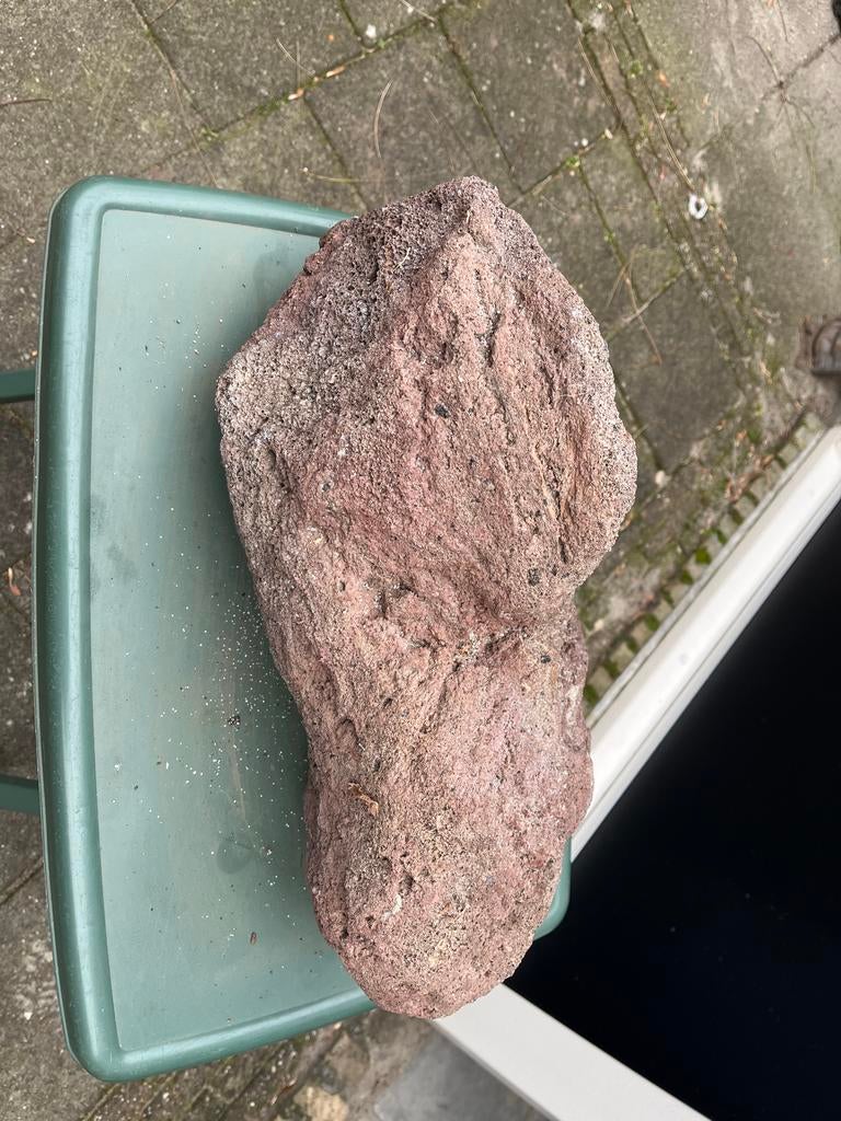 Grote steen voor aquarium of terrarium, Ophalen of Verzenden, Gebruikt, Plant(en), Steen of Hout