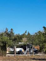 Bus camper 2007 in goede staat  gekeurd oktober 2026, Caravans en Kamperen, Campers, Overige merken, Buscamper of Camperbus, Tot en met 2