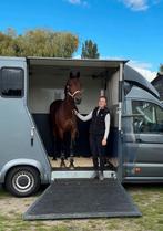 Paardentaxi te huur, Dieren en Toebehoren, Ophalen of Verzenden, Zo goed als nieuw, Aluminium, Overige typen