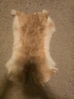 3 Konijnenvachten - iedeal voor decoratie, Ophalen of Verzenden, Gebruikt