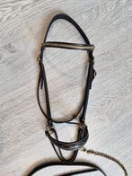 Leren ( voorbreng) halster, Dieren en Toebehoren, Paarden en Pony's | Hoofdstellen en Tuigage, Ophalen, Zo goed als nieuw, Overige soorten