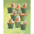 Anne Geddes – eight grote kaart bij Stichting Superwens!, Ophalen of Verzenden, Nieuw