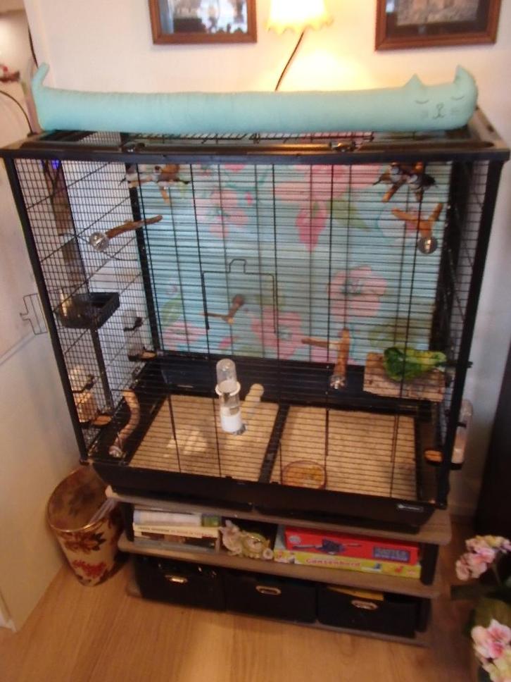 vogelkooi /voliere met 6 bichenows, Dieren en Toebehoren, Vogels | Hokken en Kooien, Gebruikt, Vogelkooi, Metaal, Ophalen