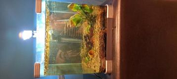 Mooi aquarium  beschikbaar voor biedingen