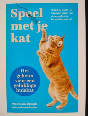 Speel met je kat: het geheim voor een gelukkige huiskat beschikbaar voor biedingen