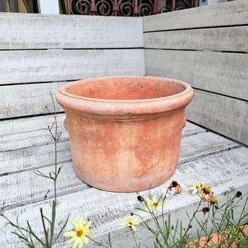Terracotta bloempot met "oren", 20 cm. hoog. beschikbaar voor biedingen