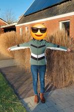 Dare2b Dames Ski Jas - Maat 36- Groen/Wit, Dare2B, Ophalen of Verzenden, Zo goed als nieuw, Maat 36 (S)