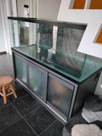 Groot aquarium 700 Liter 170x70x62cm, Dieren en Toebehoren, Ophalen, Gebruikt, Leeg aquarium