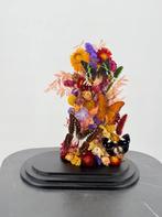 Opgezette Vlinders in Glazen Stolp - Wildernis Atelier, Ophalen of Verzenden, Nieuw, Opgezet dier