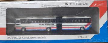 DAF MBG205 Jonckheere Bermuda 1:87 - Limited Edition beschikbaar voor biedingen