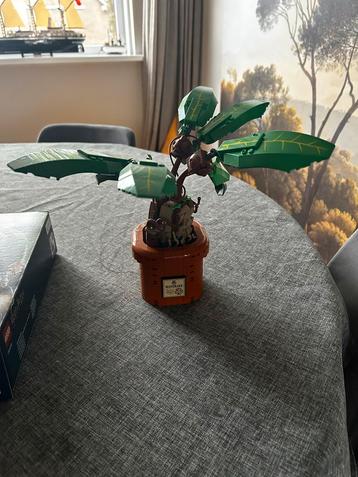 LEGO 76433 Harry Potter Mandragora beschikbaar voor biedingen