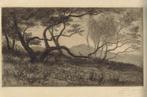 C. N. Storm van s'Gravensande ets "Duinlandschap, gesigneerd, Antiek en Kunst, Ophalen