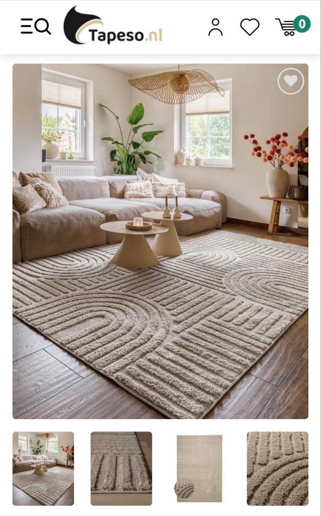 Vloerkleed Japandi, Huis en Inrichting, Ophalen of Verzenden, Zo goed als nieuw, Rechthoekig, 200 cm of meer