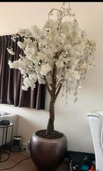 Bloesemboom in pot - decoratief en sfeervol, Ophalen, Zo goed als nieuw, Binnen
