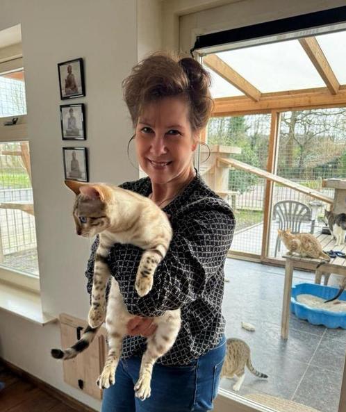 Katten oppas aan huis, Dieren en Toebehoren, Katten en Kittens | Raskatten | Langhaar, Meerdere dieren