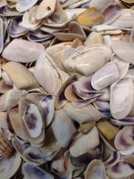 schelpen per 500 gram no. 8, Ophalen, Nieuw, Materiaal