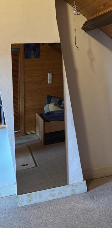Hoge spiegel - 150x50 cm - Inclusief bevestiging beschikbaar voor biedingen