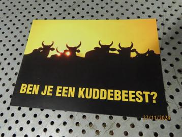 Folder - Reclame Buell American Motorcycles o.a. Ulysses & F beschikbaar voor biedingen