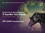 2 tickets It Hynder fan Harich 15-01-2026, Tickets en Kaartjes