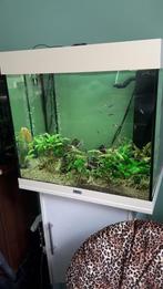 Aquarium ''Juwel Lido 120 Liter'', Dieren en Toebehoren, Vissen | Aquaria en Toebehoren, Gebruikt, Ophalen, Leeg aquarium