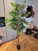 Kazeila Kunstboom 180cm - Zo goed als nieuw!, Ophalen, Zo goed als nieuw, Binnen