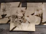 Canvaslijsten, Huis en Inrichting, Woonaccessoires | Schilderijen, Tekeningen en Foto's, Ophalen, Zo goed als nieuw, Schilderij