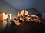Set van 3 stuks Kienhout Driftwood voor aquarium terrarium, Ophalen of Verzenden, Zo goed als nieuw, Plant(en), Steen of Hout