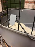 Honden fietsmand bagagedrager, Fietsen en Brommers, Fietsaccessoires | Fietsmanden, Ophalen, Gebruikt, Overige typen