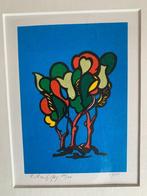 Zeefdruk van C.A. v.d. Mey 88/100 - 1988, Antiek en Kunst, Kunst | Litho's en Zeefdrukken, Ophalen of Verzenden