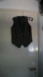 Nog Nieuw luxe TAIFUN Gillet gilet body hesje  Bruin S, Bruin, Verzenden, Nieuw, Taifun