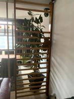 Vintage Klimrek voor fitness en gymnastiek, Ophalen of Verzenden, Gebruikt, Armen, Overige typen