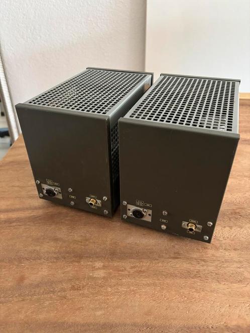 2 monoblok buizenversterkers, Audio, Tv en Foto, Buizenversterkers, Versterker, Ophalen