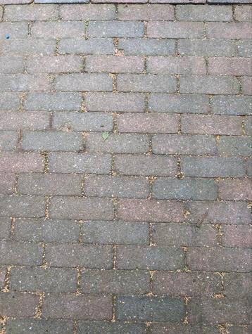 Tuinstenen - 12m2+ - Gratis Ophalen beschikbaar voor biedingen