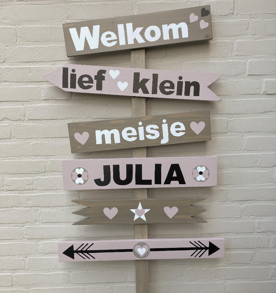 geboorte bord meisje, Kinderen en Baby's, Kraamcadeaus en Geboorteborden, Ophalen of Verzenden, Nieuw, Geboortebord