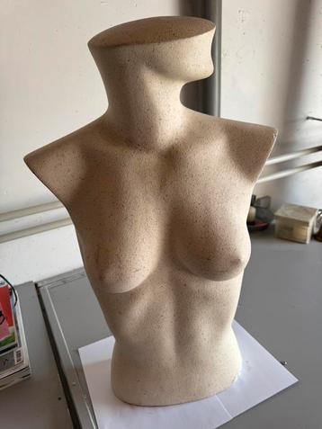 Torso vrouw beschikbaar voor biedingen