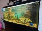 Aquarium, Ophalen, Nieuw, Leeg aquarium