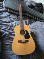 Motion 12-snarige Western Gitaar met Koffer, Ophalen, Zo goed als nieuw, Western- of Steelstringgitaar, Met koffer