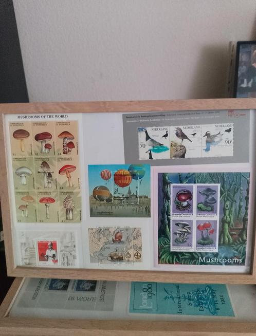 Ingelijste postzegelcollectie - Thema: Paddenstoelen & Vogel, Postzegels en Munten, Postzegels | Volle albums en Verzamelingen